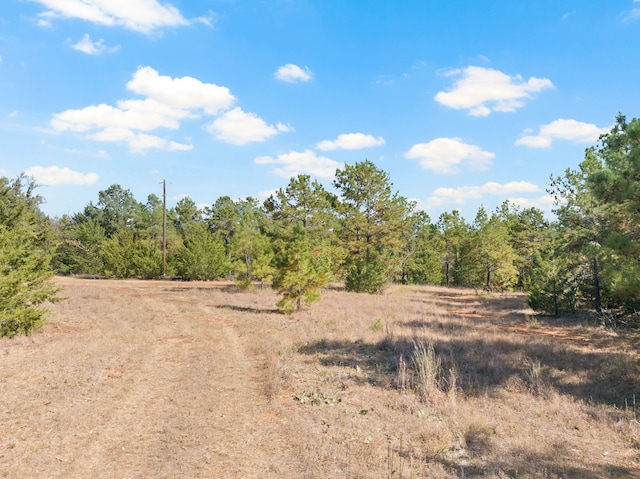 view of local wilderness featuring a rural view