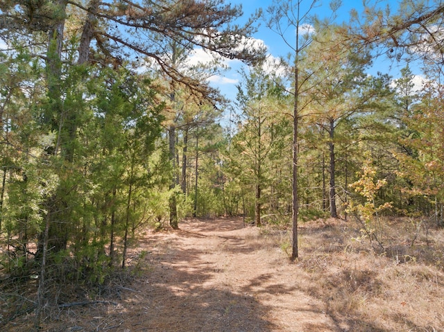 view of landscape featuring a forest view