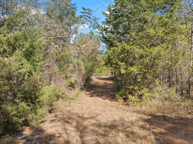 view of landscape