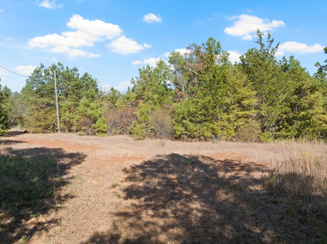 view of local wilderness