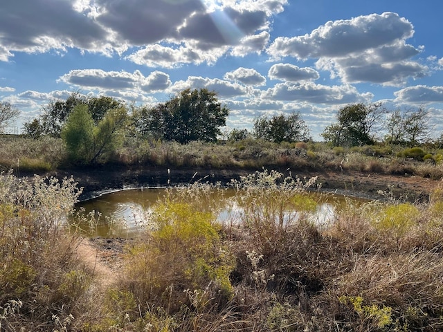 TBD County Road 215, Coolidge TX, 76635 land for sale