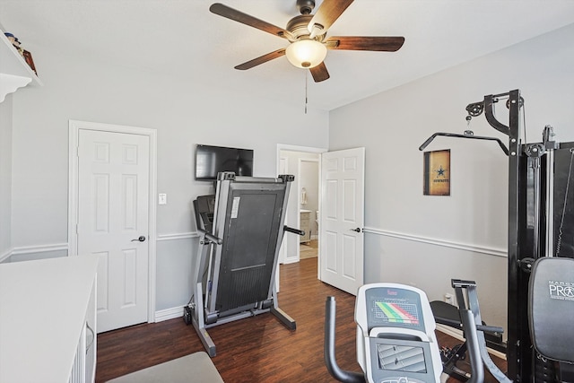 workout room featuring ceiling fan and dark hardwood / wood-style flooring