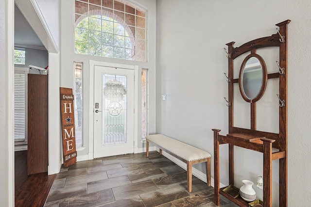 foyer entrance featuring dark wood-type flooring