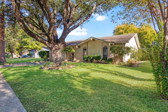 ranch-style house featuring a front lawn