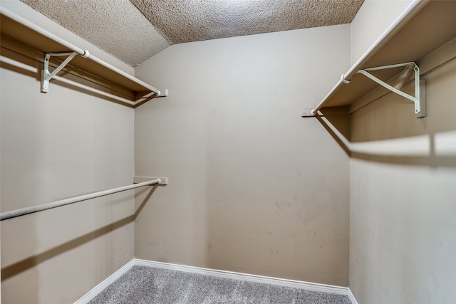 spacious closet featuring lofted ceiling and carpet flooring