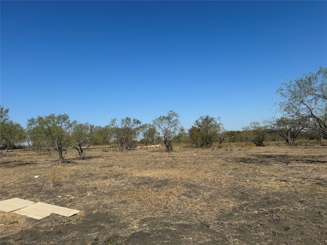 10484 NE County Road 1070, Rice TX, 75155 land for sale