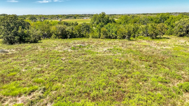 Listing photo 3 for TBD2 Cowley Rd, Whitt TX 76486