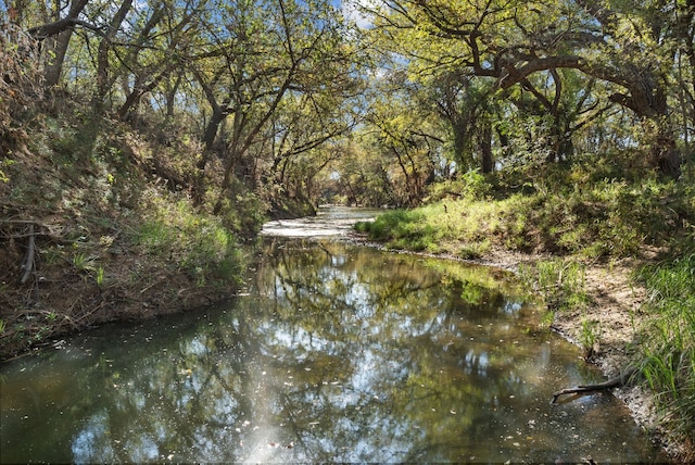 TBD County Road 136, Coleman TX, 76834 land for sale