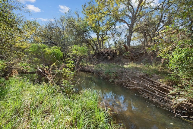 Listing photo 2 for TBD County Road 136, Coleman TX 76834