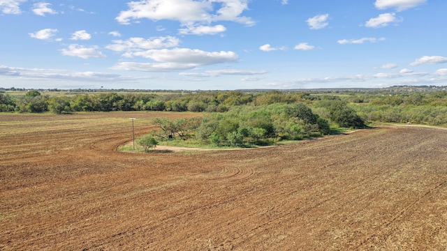 Listing photo 3 for TBD County Road 136, Coleman TX 76834