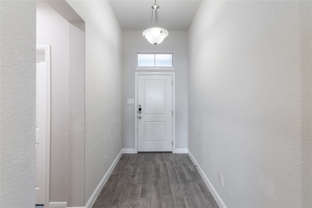 entryway with dark wood-type flooring