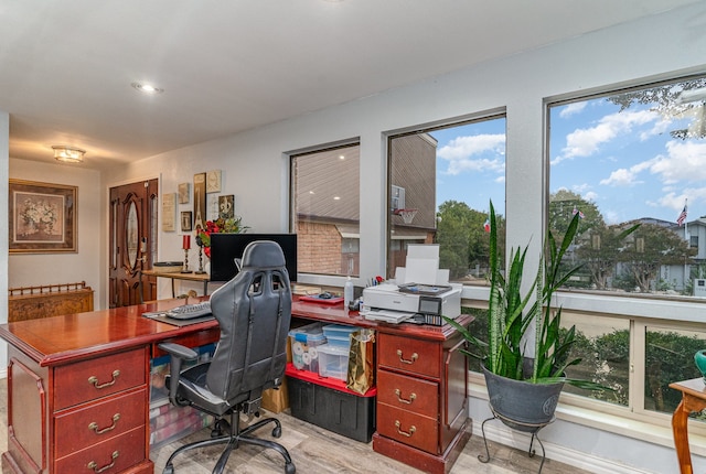 office space featuring a healthy amount of sunlight and light wood-type flooring