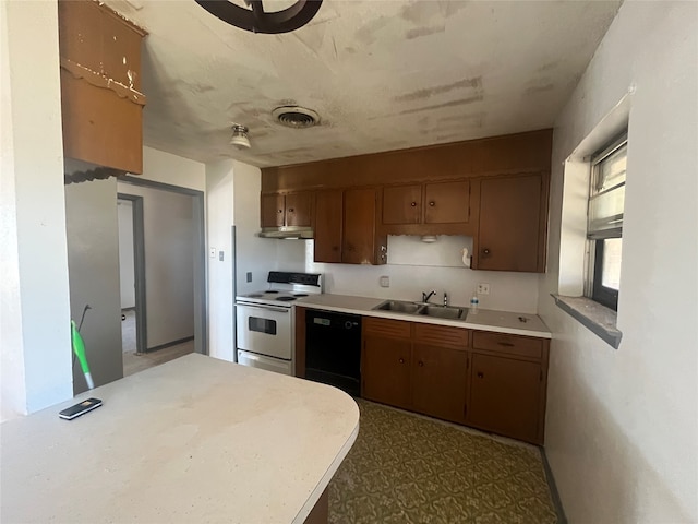 kitchen with sink, dishwasher, and white electric range