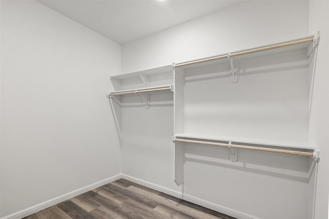 walk in closet with dark hardwood / wood-style floors