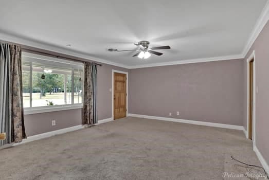 spare room with baseboards, carpet floors, a ceiling fan, and crown molding