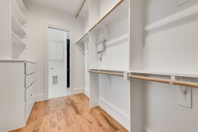 spacious closet featuring light hardwood / wood-style flooring