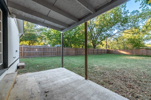 view of yard featuring a patio area