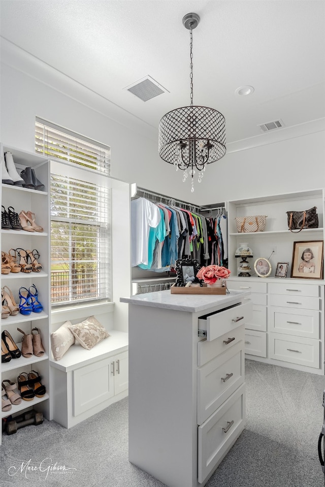 spacious closet with light colored carpet