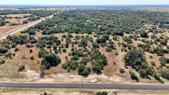 Listing photo 3 for 100 Gilmore Ct, Lipan TX 76262