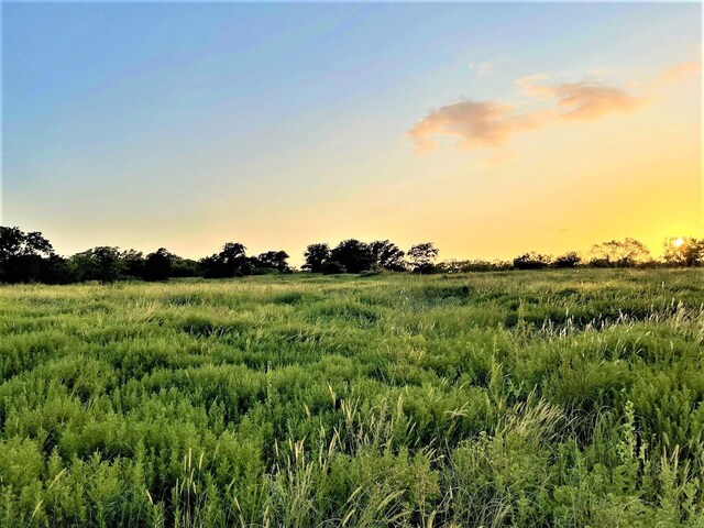 1280 US Highway 180 E, Mccaulley, TX 79543