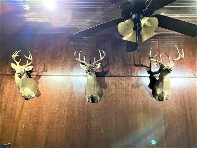 1280 US Highway 180 E, Mccaulley, TX 79543