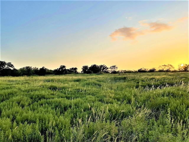 nature at dusk with a rural view