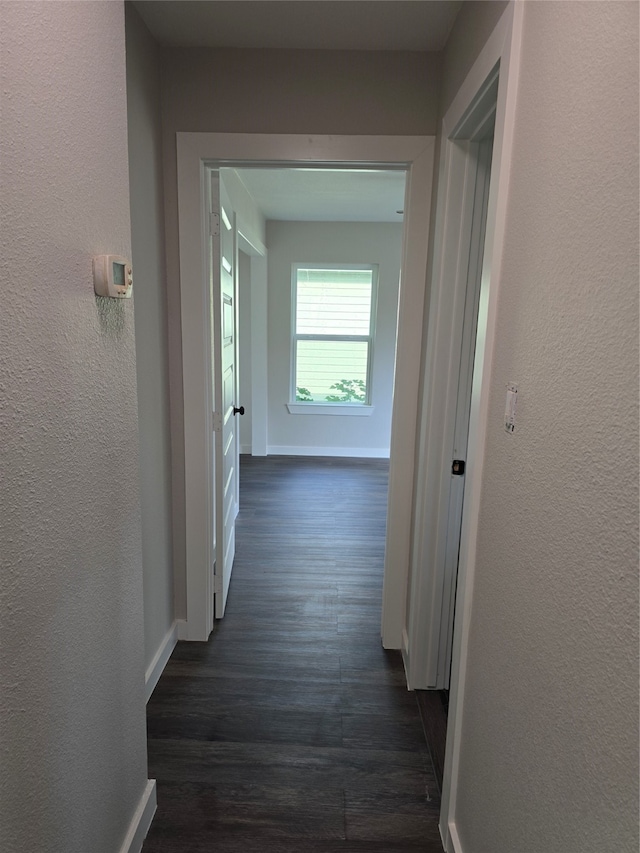 hall with dark hardwood / wood-style flooring