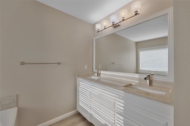 bathroom with wood-type flooring and vanity