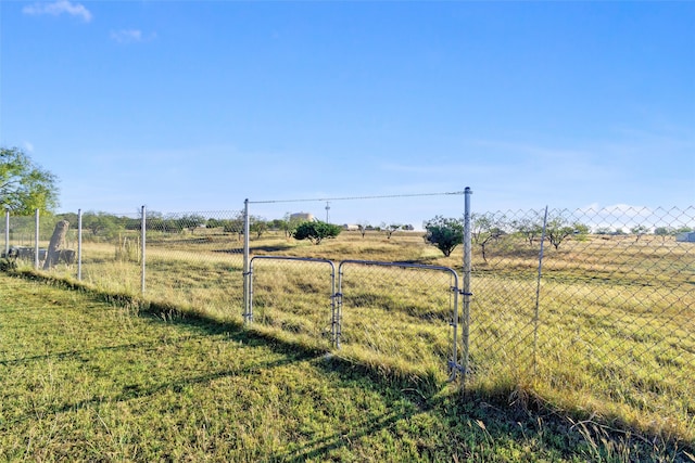 view of yard featuring a rural view