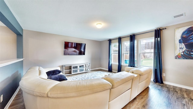 living room with wood-type flooring