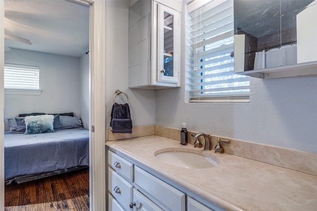 bathroom featuring vanity, a shower with curtain, and wood-type flooring