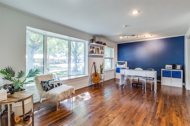 office area with crown molding and dark hardwood / wood-style floors