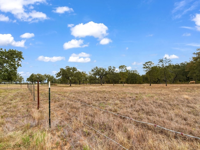 view of yard featuring a rural view