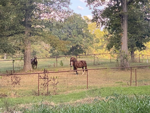 view of yard with a rural view