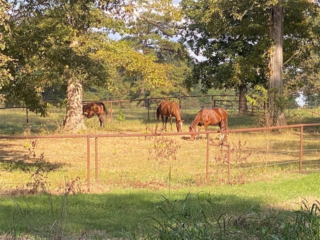 view of yard featuring a rural view