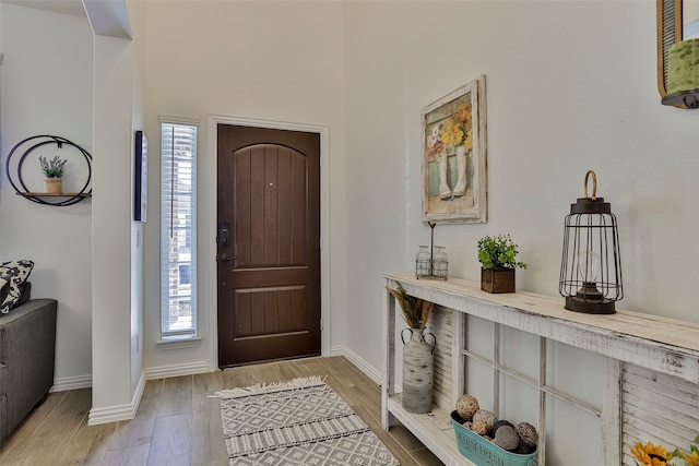 entryway featuring light hardwood / wood-style floors and a healthy amount of sunlight