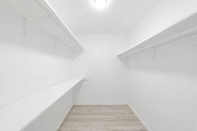 spacious closet featuring light wood-type flooring