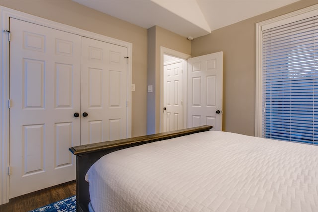 bedroom featuring a closet and dark wood-type flooring