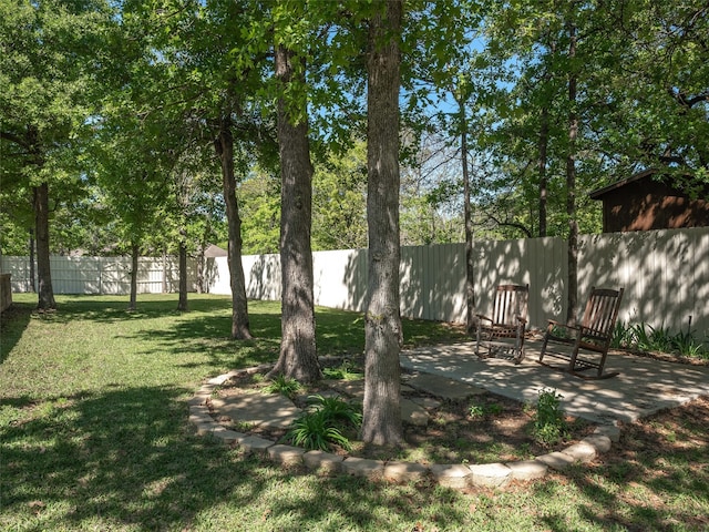 view of yard with a patio area