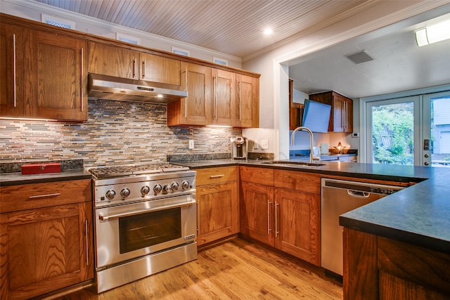 kitchen with appliances with stainless steel finishes, sink, ventilation hood, and ornamental molding