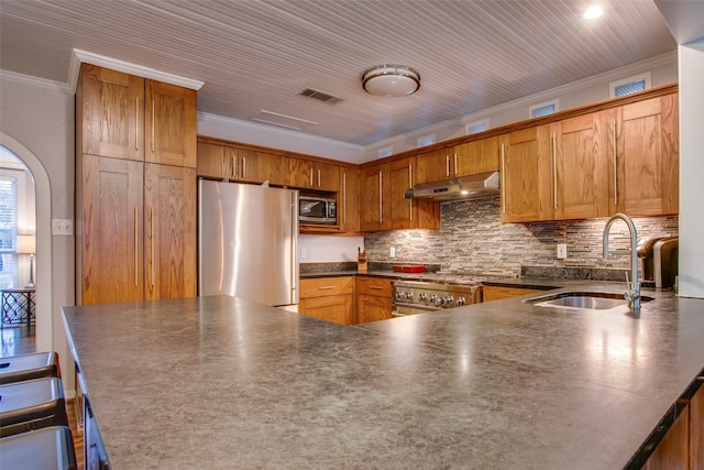 kitchen with kitchen peninsula, decorative backsplash, sink, crown molding, and stainless steel appliances