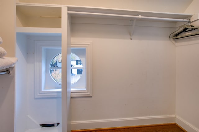 spacious closet with wood-type flooring