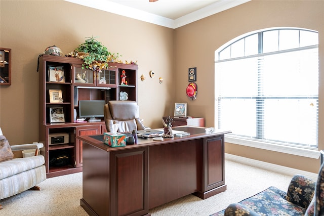 carpeted bedroom with ornamental molding and ensuite bath