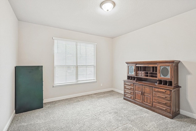 interior space with light colored carpet