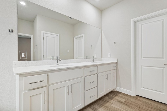 bathroom with wood-type flooring and vanity