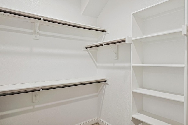 spacious closet with carpet floors