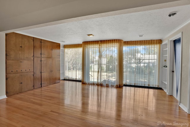 interior space featuring plenty of natural light, light hardwood / wood-style flooring, and a textured ceiling