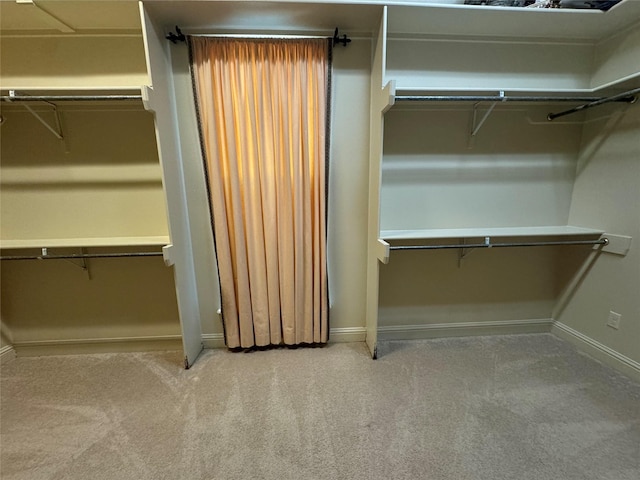 spacious closet with carpet