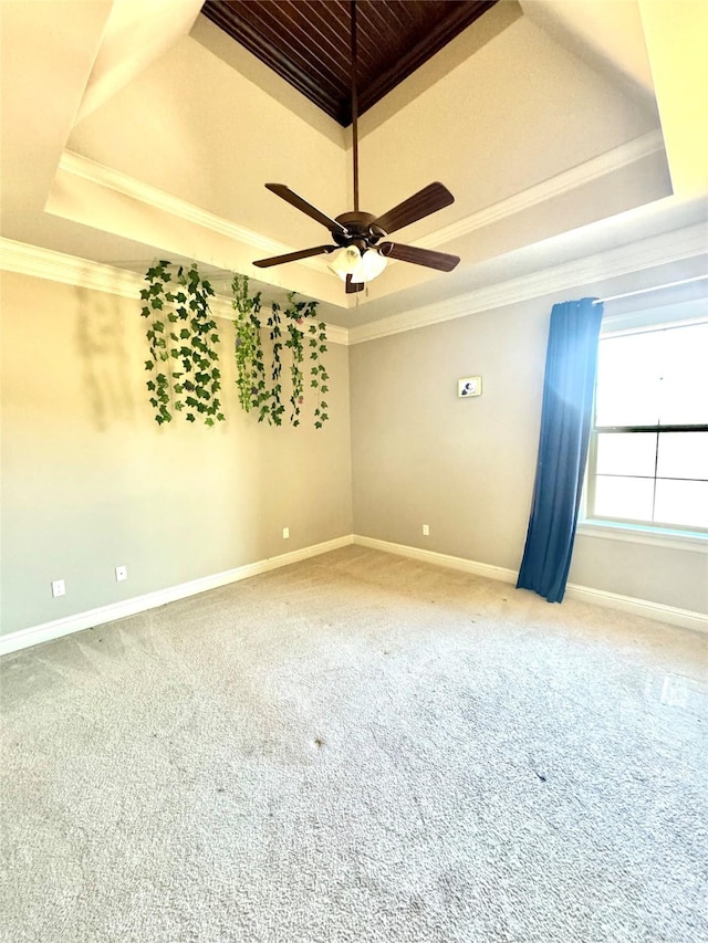 spare room featuring ornamental molding, a raised ceiling, and light colored carpet