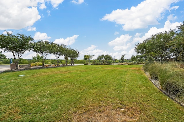 view of yard featuring a rural view